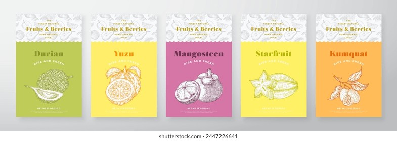 Obst und Beeren Muster Label Vorlagen Set. Vektorgrafik Packaging Design Layout Kollektion. Moderner Typografie Banner mit handgezeichneten Durian, Yuzu, Mangostine und Kumquat Skizzen Hintergrund. isoliert