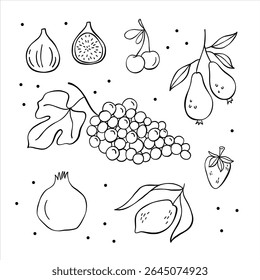 Fruits and berries: pear, fig, cherries, grapes, strawberry, lemon, pomegranate. Food illustartion set. Hand drawn vector illustration, balck and white minimalist drawing.