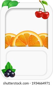 Plantilla de la tarjeta de pancarta rectangular de flores y bayas para el diseño. Ilustración del vector
