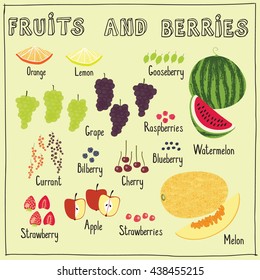 fruits and berries set