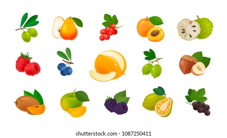 Fruits and berries, set of colored icons. Food concept. Vector illustration