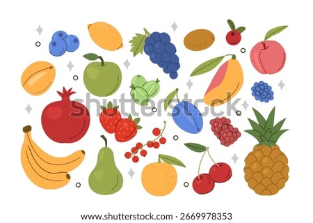Fruits and berries set. Grapefruit, mango, plum, apricot, blueberry assortment collection. Fruit harvesting concept. Vector illustration.