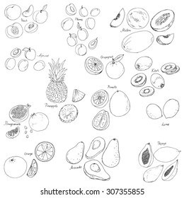 fruits and berries set, ink drawing vector elements