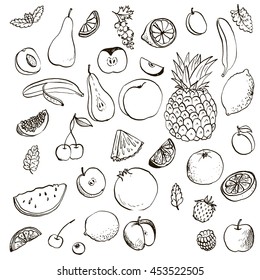 fruits and berries set, ink drawing vector elements