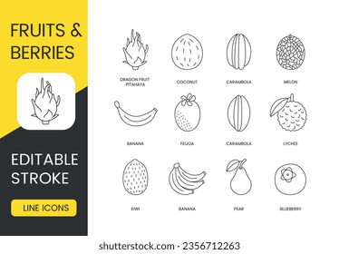 Fruits and berries set of line icons in vector, editable stroke. blueberry and pear, banana and kiwi, lychee and carambola, feijoa and melon, coconut and dragon, pitahaya