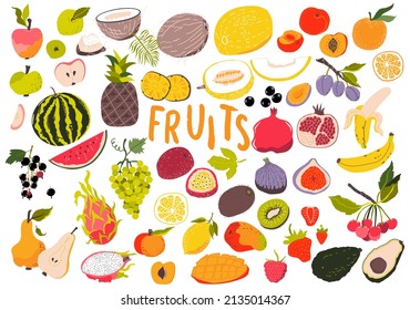 Fruits and berries set. Tropical. Sliced pieces. Organic and vegetarian food. Doodle Vector illustration