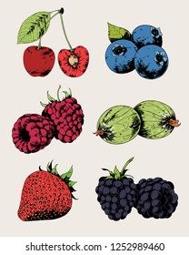 Fruits and Berries set vector hand drawn illustrations. Apple, Cherry, Orange, Blueberry, Pomegranate, Blackberry, Pear, Gooseberry, Kiwi, Raspberry, Strawberry.