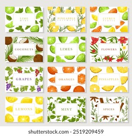 Frutas, bagas, especiarias conjunto de cartões de visita. Coleção de vetores desenhada à mão com uma caixa de texto. Cal, hortelã, abacaxi, citrinos, coco, flores, laranja, uvas, especiarias ilustrações sobre fundo branco