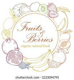 Fruits and berries, vector frame hand drawn sketch illustration on white background.