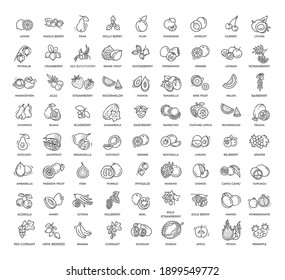 Fruits and berries vector icons. Fresh and natural ingredients