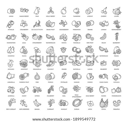 Fruits and berries vector icons. Fresh and natural ingredients