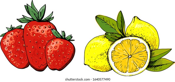 Fruits and berries vector Icons for juice and jam. Lemon, strawberry. Set.