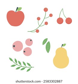 fruits and berries. vector illustration