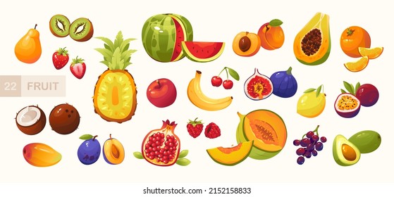 Fruits and berries vector illustration in cartoon style. Juicy summer fruits. Сartoon vector illustration. Big Fruit set