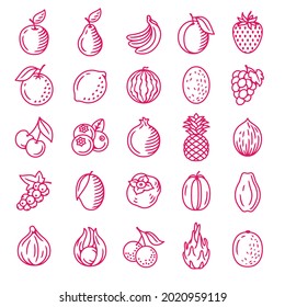 Fruits and berries vector isolated icon set. Perfect for restaurants, cafe, bars and food courts or any web and app projects. Engraving style.