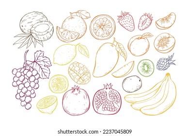 Fruits and berries, vector set hand drawn sketch illustration on white background.