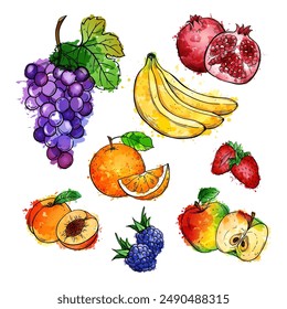 Fruits and berries, vector set hand drawn sketch watercolor illustration on white background.