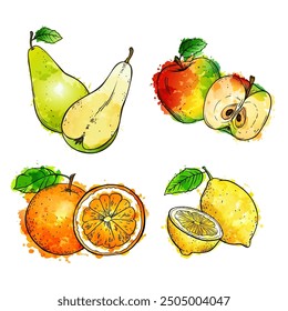 Fruits and berries, vector set hand drawn sketch watercolor illustration on white background.
