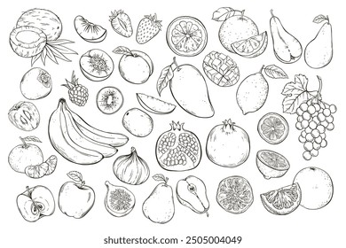 Fruits and berries, vector set hand drawn sketch illustration on white background.