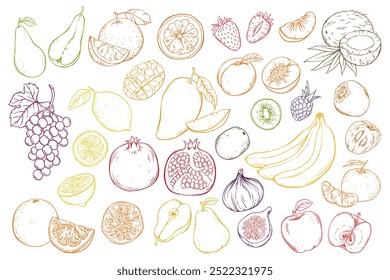 Frutas e bagas, conjunto de vetor desenhado à mão esboço ilustração no fundo branco.