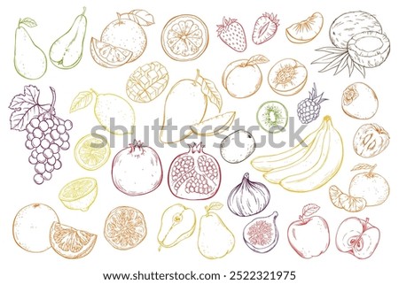Fruits and berries, vector set hand drawn sketch illustration on white background.