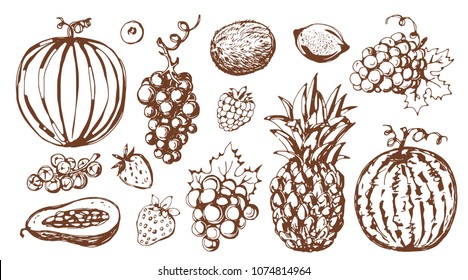 Fruits, berries, vegetables, nut. Hand drawn isolated on a white background vintage sketch set