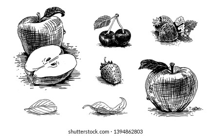 Fruits and berries. Vintage vector graphics for packaging design, labels, cafe and restaurant menus.