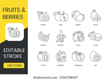 Früchte und Beeren, ganz und in Scheiben geschnitten, Vektorsymbol, bearbeitbarer Strich. Kiwi und Persimmon, Heidelbeere und Feijoa, Lychee und Guava, Banane und Mango, Apfel und Pomelo