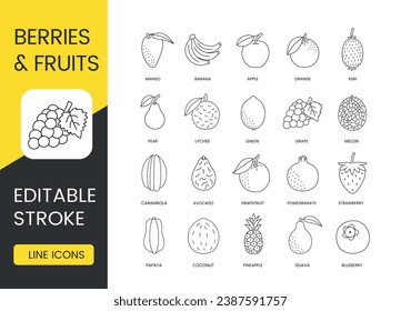 Fruits and berries whole and sliced, vector line icon set, editable stroke. blueberry and guava, pineapple and coconut, papaya and strawberry, pomegranate and grapefruit, avocado and carambola, melon