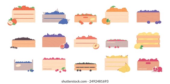 Fruits and berries in wooden boxes. Pear apple pomegranate peach lemon grape. Strawberry cherry and raspberry. Harvest farm market racy vector elements