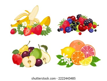Fruits, berry and citruses set. Piles of fresh food. Vector cartoon illustration.