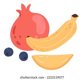 Fruits berry design element concept illustration