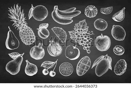 Fruits big set. Chalk sketch on blackboard background. Hand drawn vector illustration.