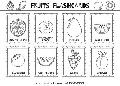 Fruits black and white flashcards collection. Healthy food flash cards set for coloring in outline. Blueberry, cantaloupe, grape and more. Vector illustration