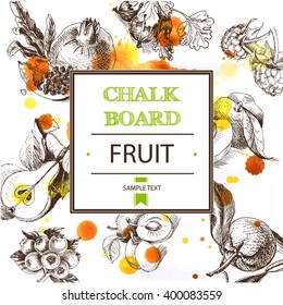 Fruits - Blueberries, raspberries, currants , pomegranate , pear, carom , orange, gooseberry - vector illustration