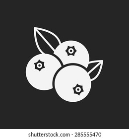 fruits blueberry icon