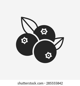 Fruits Blueberry Icon