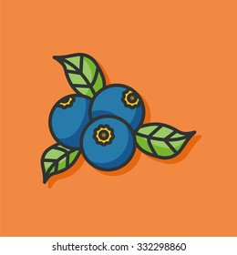 fruits blueberry icon