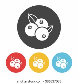 fruits blueberry icon