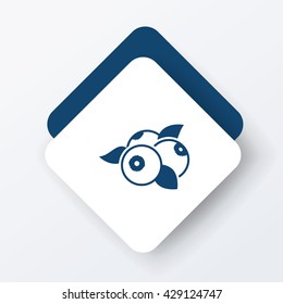 fruits blueberry icon