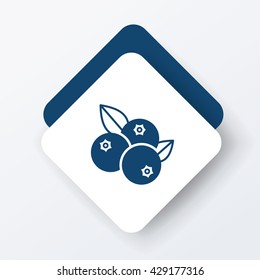 fruits blueberry icon