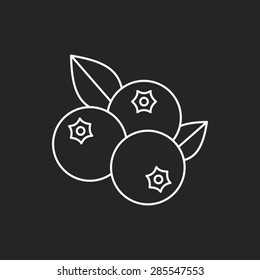 fruits blueberry line icon