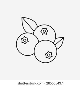 Fruits Blueberry Line Icon