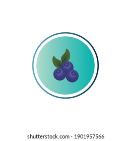 Fruits Blueberry Vector Icon Design