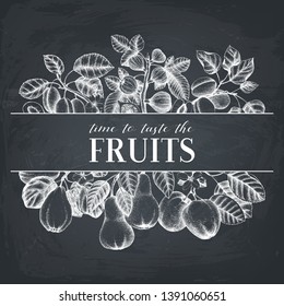 Fruits branches bouquet. Hand drawn flowers and fruits on chalkboard. Vintage botanical illustration. Black and white floral composition. Plum, apple,  apricot, fig, quince, pear sketches.