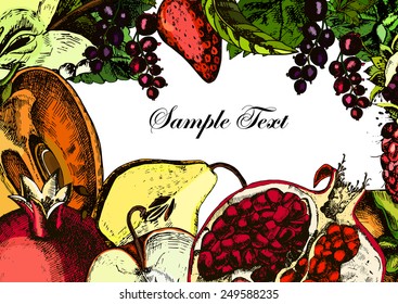 Fruits. Card. Freehand drawing. Vector illustration
