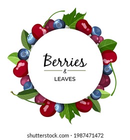 Marco de círculo de frutas con bayas de texto. Afiche redondo con bayas orgánicas diferentes. Ilustración vectorial.