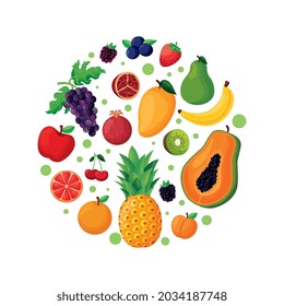 forma circular de frutos aislada sobre fondo blanco. ilustración vectorial