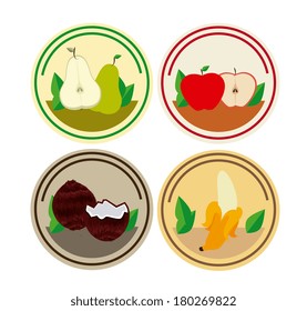 fruits circles design over white background vector illustration    