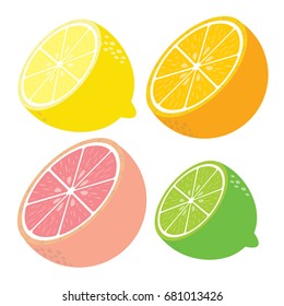 Fruits citrus vector. Vector set of lemon, orange, lime, grapefruit slices on white background.